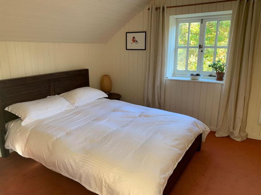 Trinity Annexe An Adorable First Floor Light And Lofty Space Within An Aonb Godmanstone Eksteriør bilde